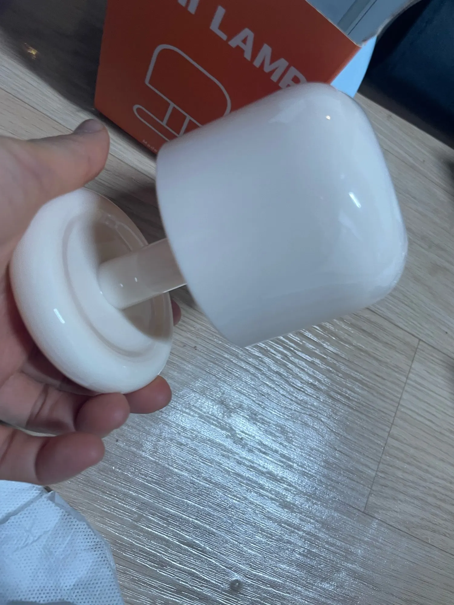 Rechargeable Mini Mushroom Lamp photo review