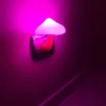Bent Mushroom Wall Lamp photo review