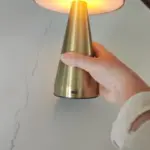 Metallic Style Rechargeable Mushroom Lamp photo review