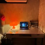 Wide Cap Mushroom Table Lamp photo review