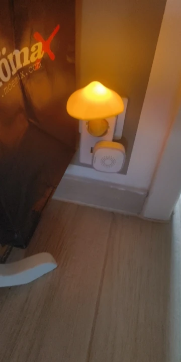 Bent Mushroom Wall Lamp photo review