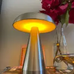 Metallic Style Rechargeable Mushroom Lamp photo review