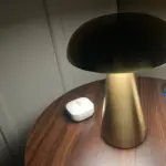 Metallic Style Rechargeable Mushroom Lamp photo review