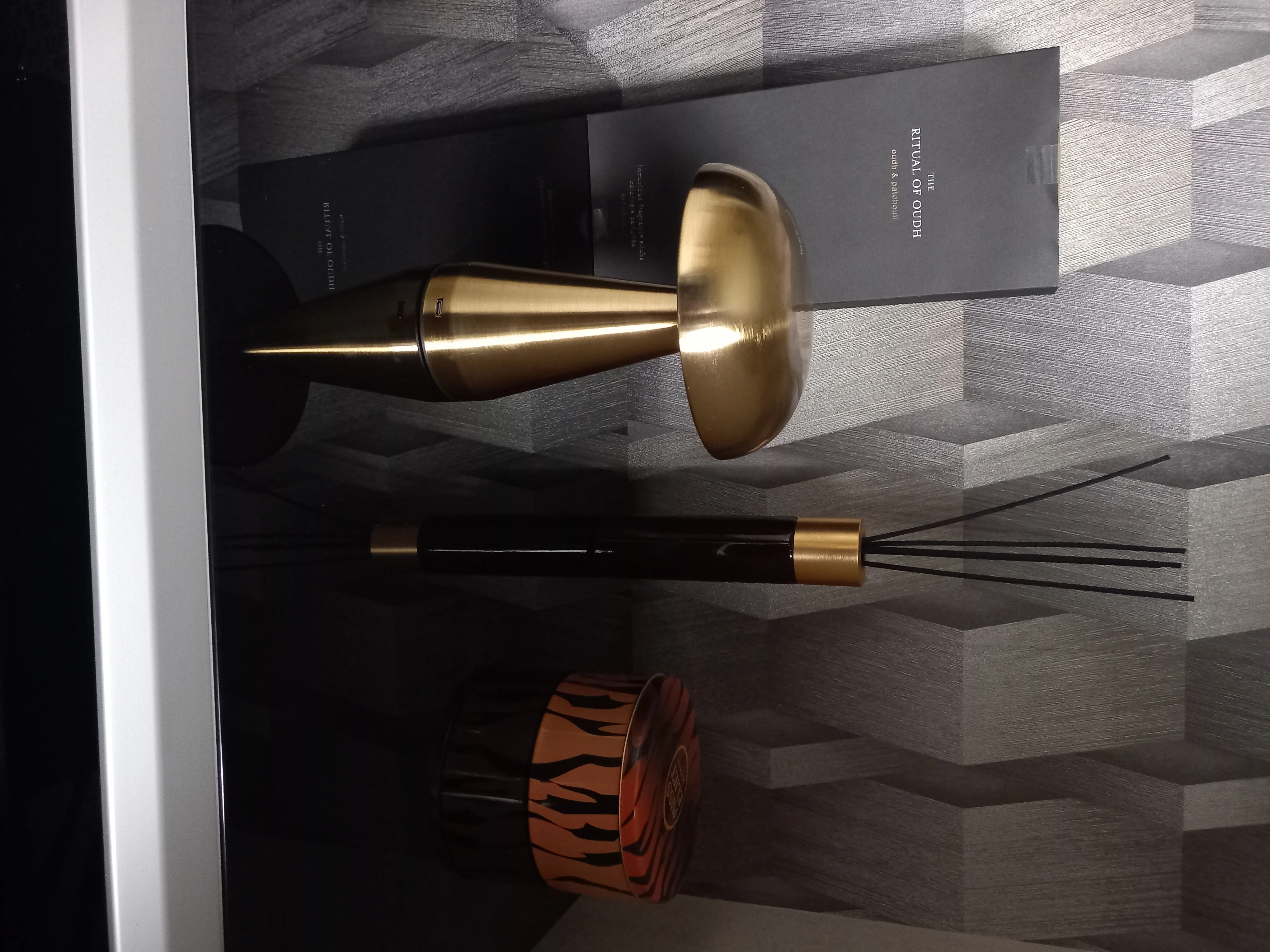 Metallic Style Rechargeable Mushroom Lamp photo review