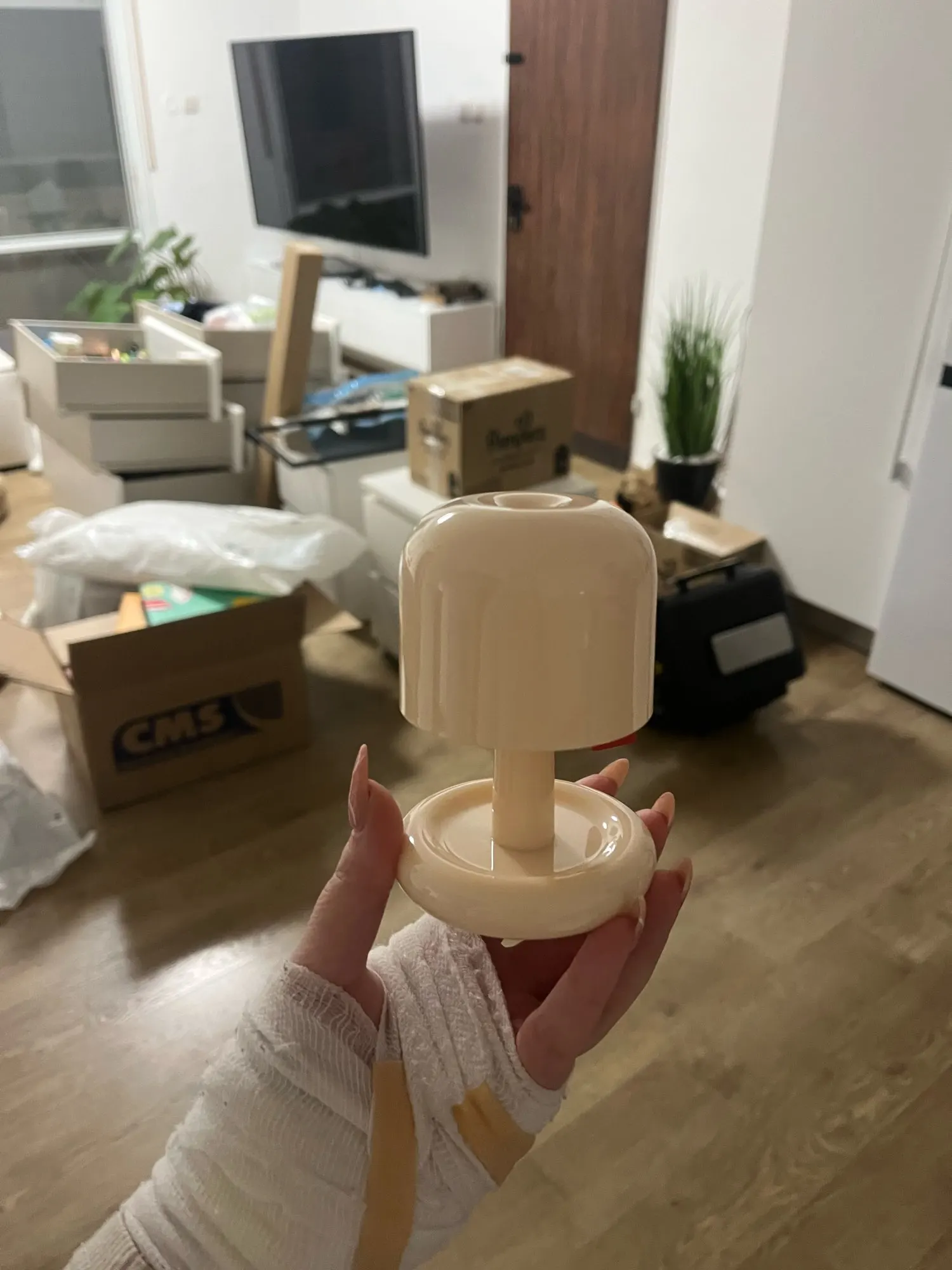 Rechargeable Mini Mushroom Lamp photo review