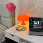 Wide Cap Mushroom Table Lamp photo review