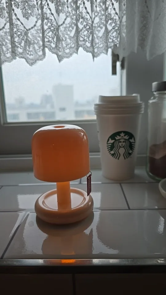 Rechargeable Mini Mushroom Lamp photo review