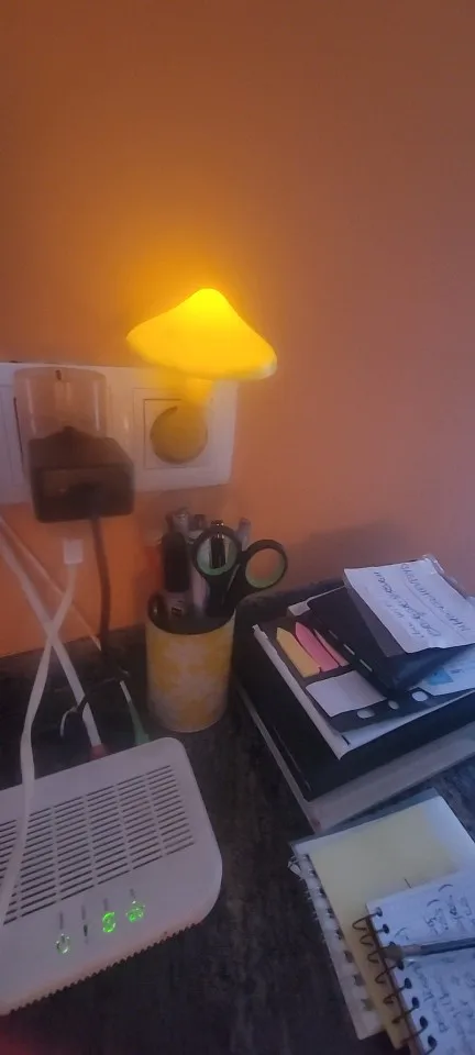 Bent Mushroom Wall Lamp photo review
