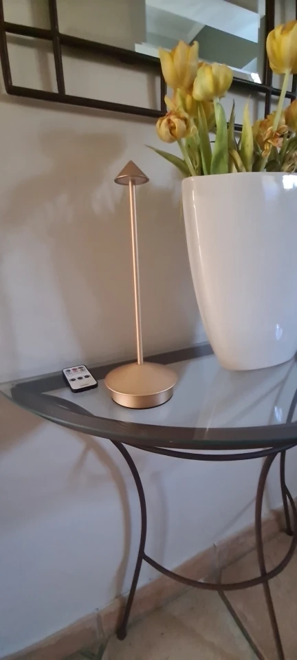 Big Base Small Cap Rechargeable Mushroom Table Lamp photo review