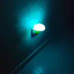 Bent Mushroom Wall Lamp photo review
