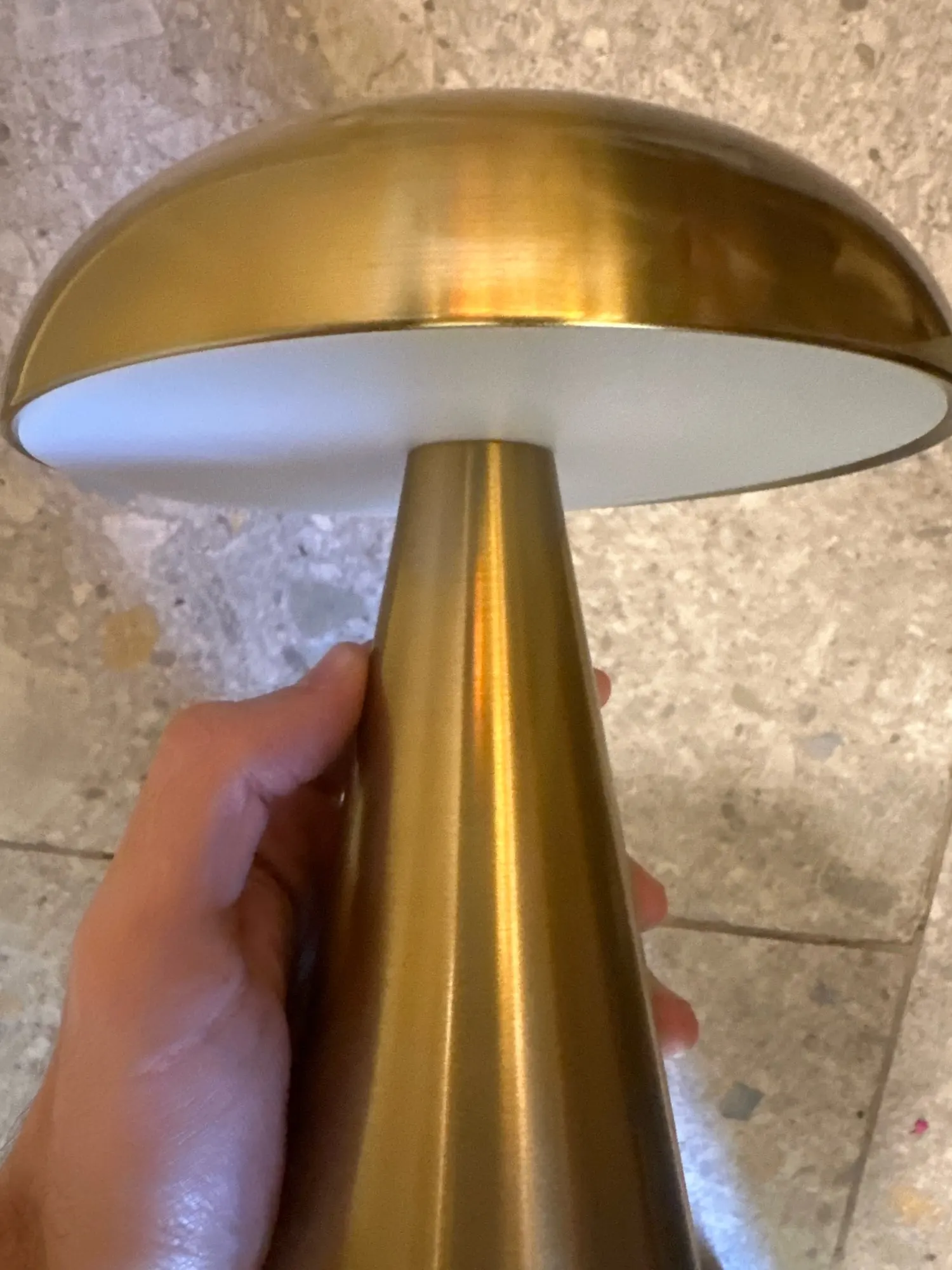 Metallic Style Rechargeable Mushroom Lamp photo review