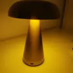 Metallic Style Rechargeable Mushroom Lamp photo review