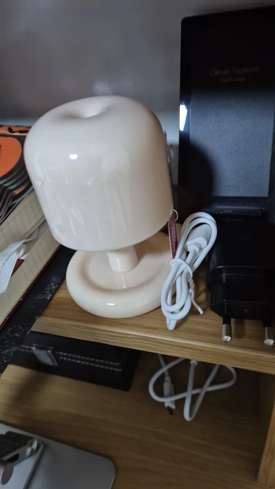 Rechargeable Mini Mushroom Lamp photo review