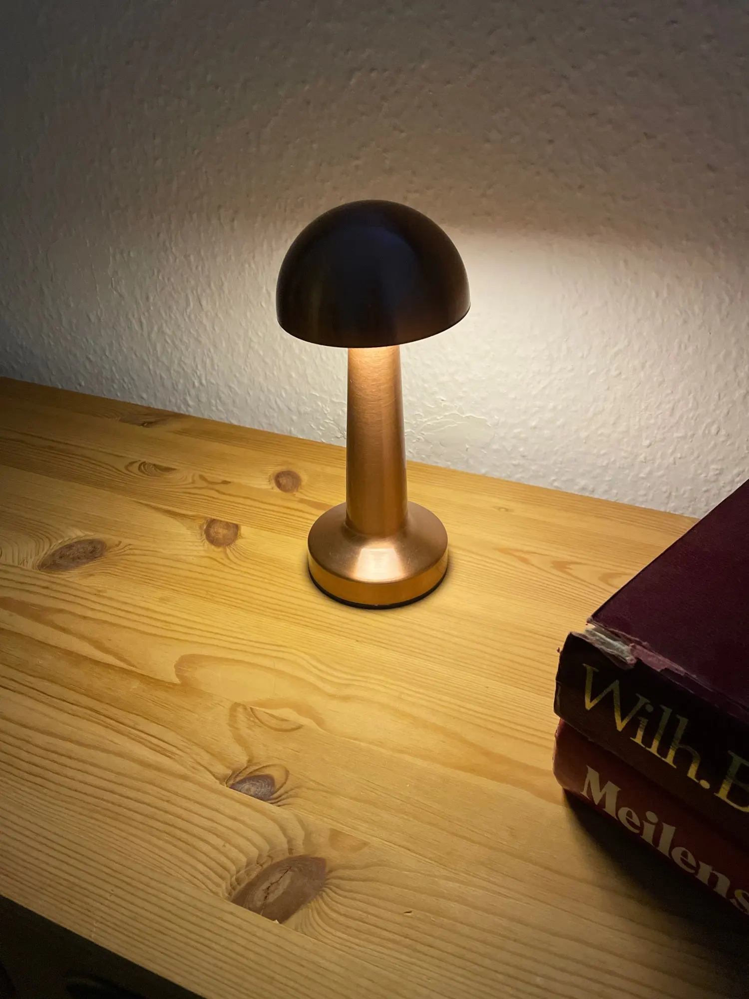 Dumbbell Base Mushroom Table Lamp photo review