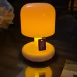 Rechargeable Mini Mushroom Lamp photo review