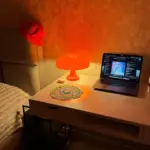 Wide Cap Mushroom Table Lamp photo review