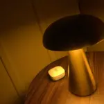 Metallic Style Rechargeable Mushroom Lamp photo review