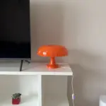 Wide Cap Mushroom Table Lamp photo review