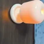 Rechargeable Mini Mushroom Lamp photo review