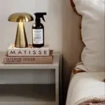 Metallic Style Rechargeable Mushroom Lamp photo review