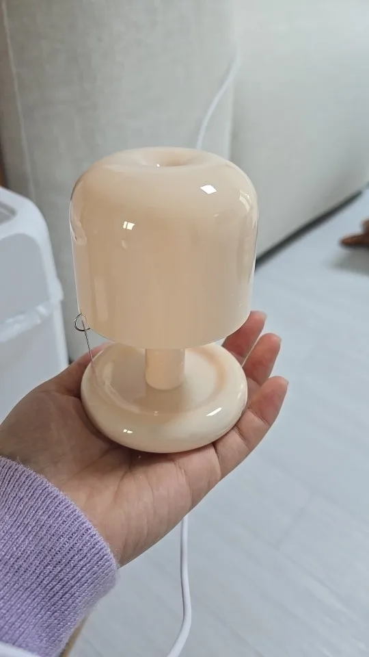 Rechargeable Mini Mushroom Lamp photo review