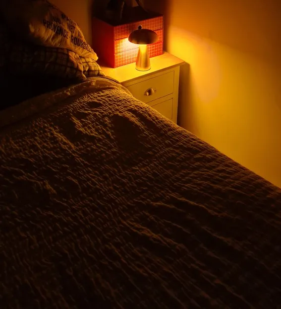 Metallic Style Rechargeable Mushroom Lamp photo review