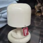Rechargeable Mini Mushroom Lamp photo review