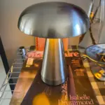 Metallic Style Rechargeable Mushroom Lamp photo review