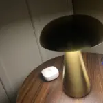 Metallic Style Rechargeable Mushroom Lamp photo review