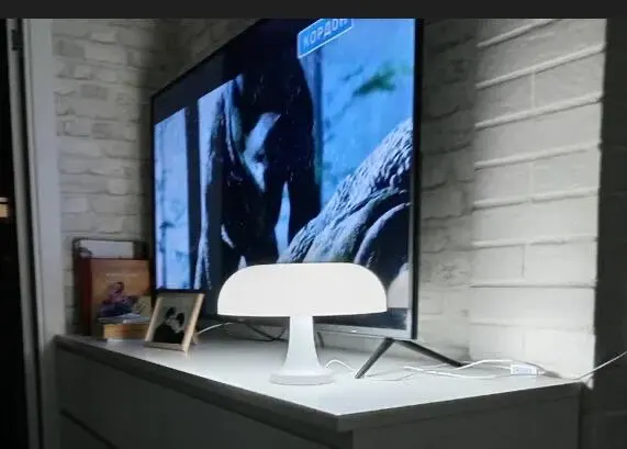 Wide Cap Mushroom Table Lamp photo review