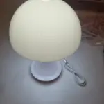 Modern USB-Charged Mushroom Table Lamp photo review